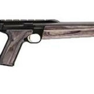 Browning Buckmark Field Target 22LR, Gray Laminate