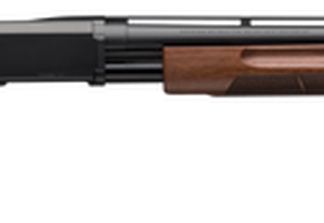 Browning BPS Field 20 Ga, 28" Barrel, 3", Matte Blued Barrel