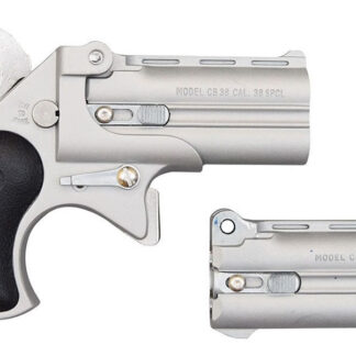 9mm/38 Special Derringer with Satin Finish - Derringers | The Gun Shop