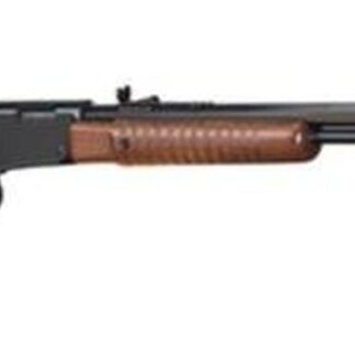 Henry Pump 22LR 20" Octagon Barrel, Walnut Stock