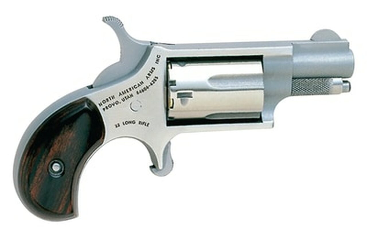NAA Companion Mini Cap And Ball Revolver Kit .22 Caliber 1.125" Barrel Stainless Steel 5 Shot