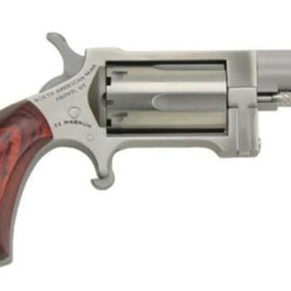 North American Arms NAA Sidewinder 22MAG 1"