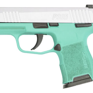 P365 Micro Compact 9mm Pistol with Robins Egg Blue Cerakote Frame and Silver Cerakote Slide - Firearms | The Gun Shop