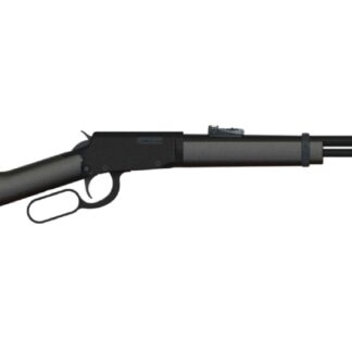Rossi RL22, Lever Action, 22 LR, 18" Barrel, Blued, Synthetic Stock, Adjustable Sights, 15Rd