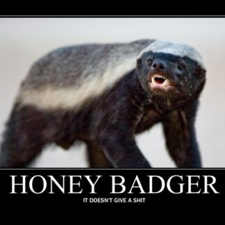 Honey Badger Rifle
